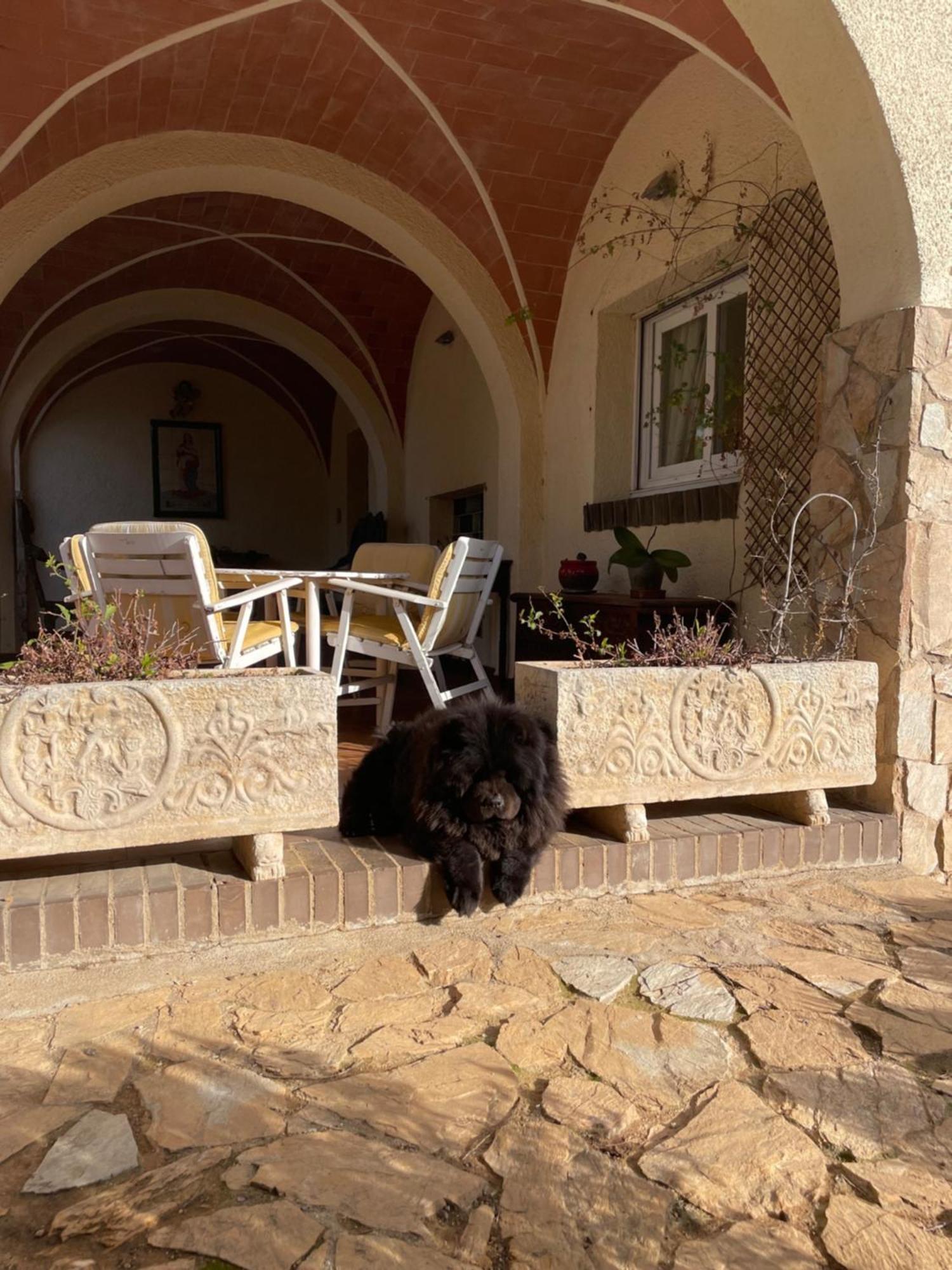 Campo La Carena Villa Garriguella Exterior photo